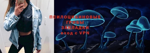 хмурый Алексеевка