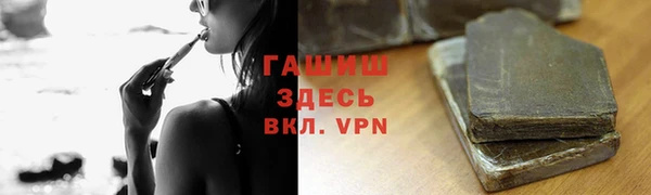 индика Абаза