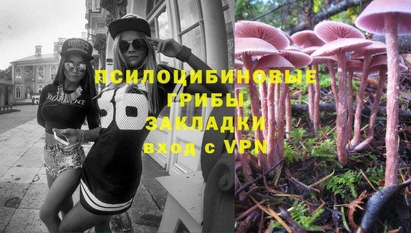 хмурый Алексеевка